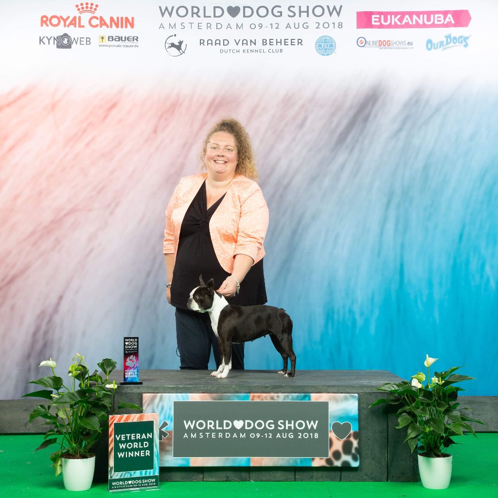 Amsterdam World Dog Show